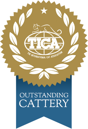 TICA badge